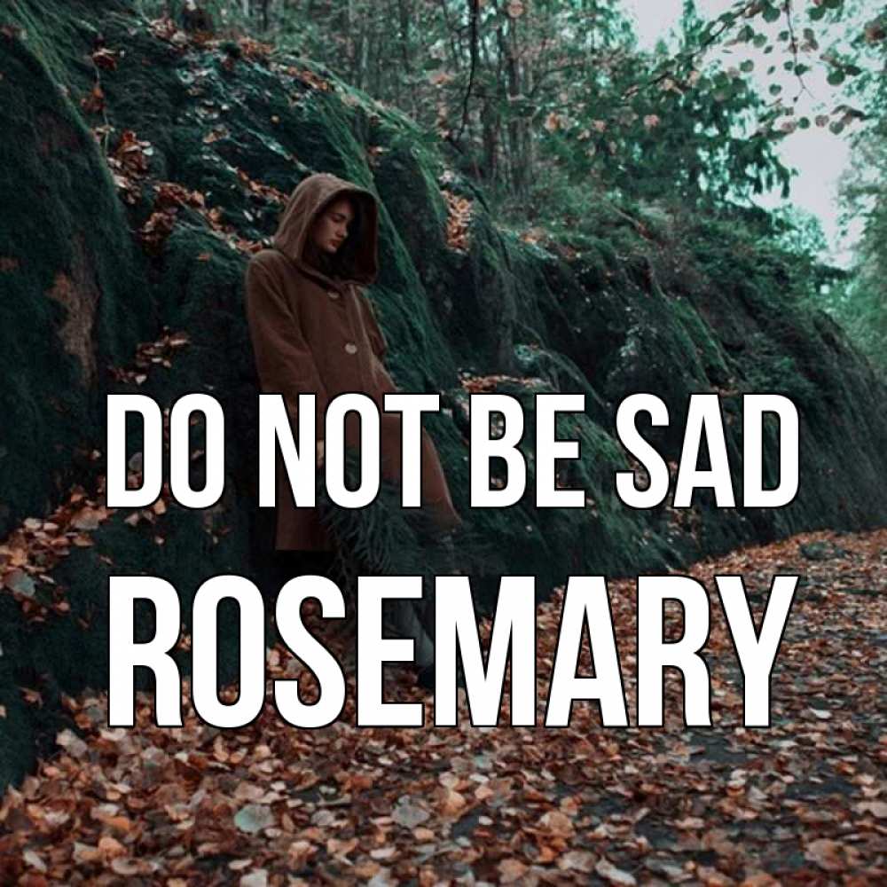 Greetings card с именем, Rosemary Do not be sad осенний лес Greetings with text for free download 