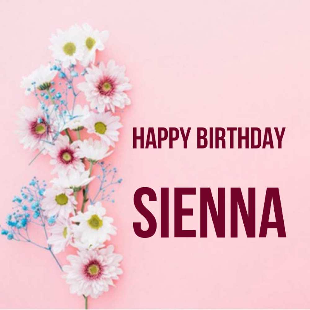 Greetings card с именем, Sienna Happy Birthday Родная моя с днем рождения тебя картинка с цветами белыми и голубыми Greetings with text for free download 