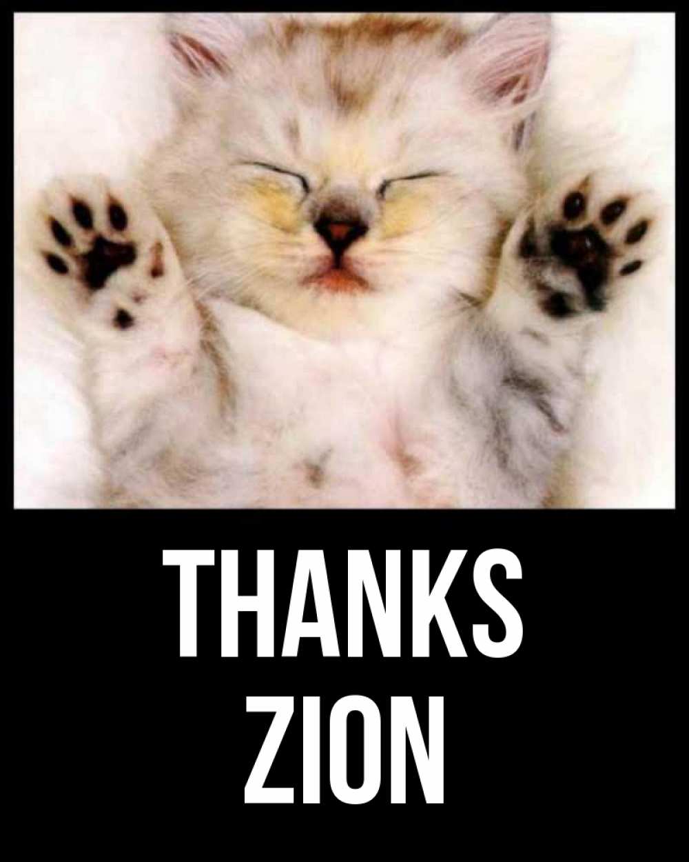 Greetings card с именем, Zion Thanks маленький котенок Greetings with text for free download 