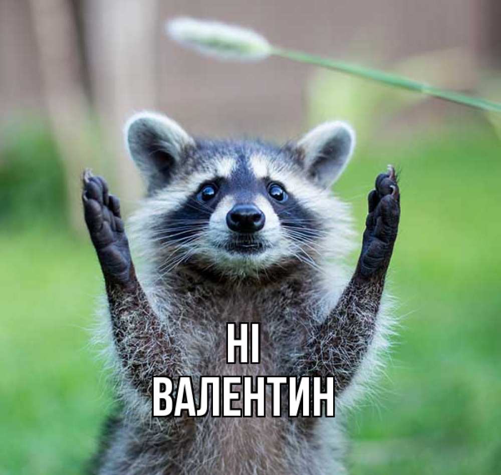 Greetings card с именем, Валентин Hi животные Greetings with text for free download 