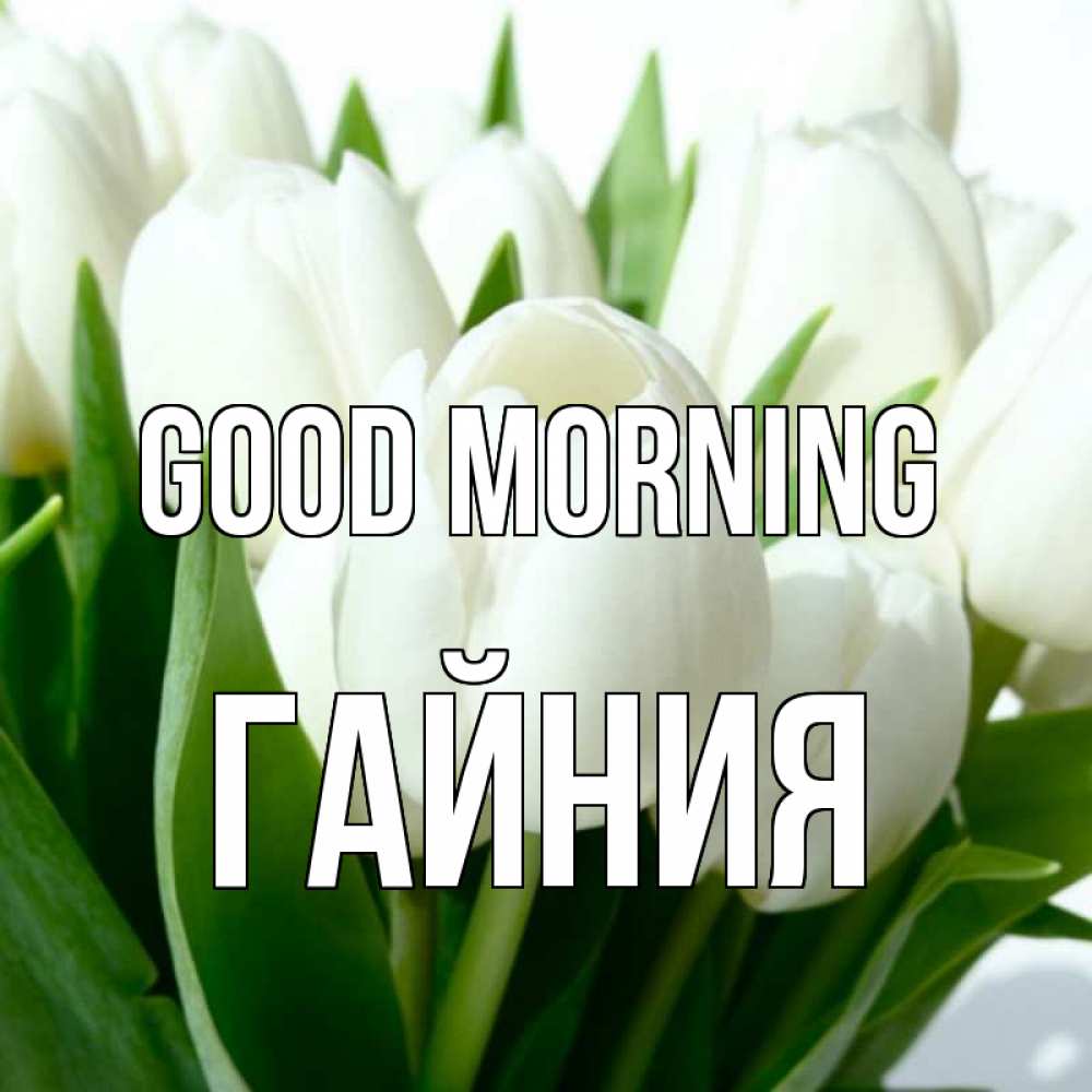 Greetings card с именем, ГАЙНИЯ Good morning открытки на каждый день по именам Greetings with text for free download 