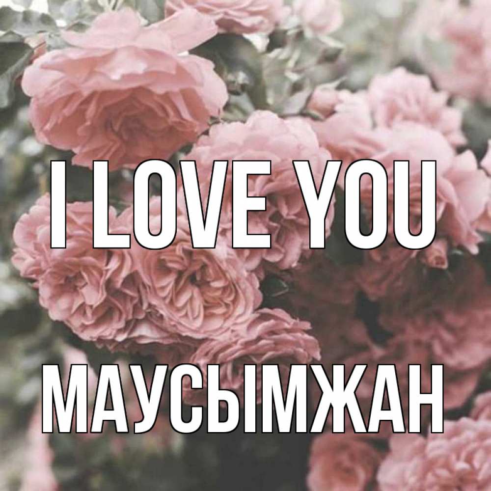 Greetings card с именем, МАУСЫМЖАН I love you розы 3 Greetings with text for free download 