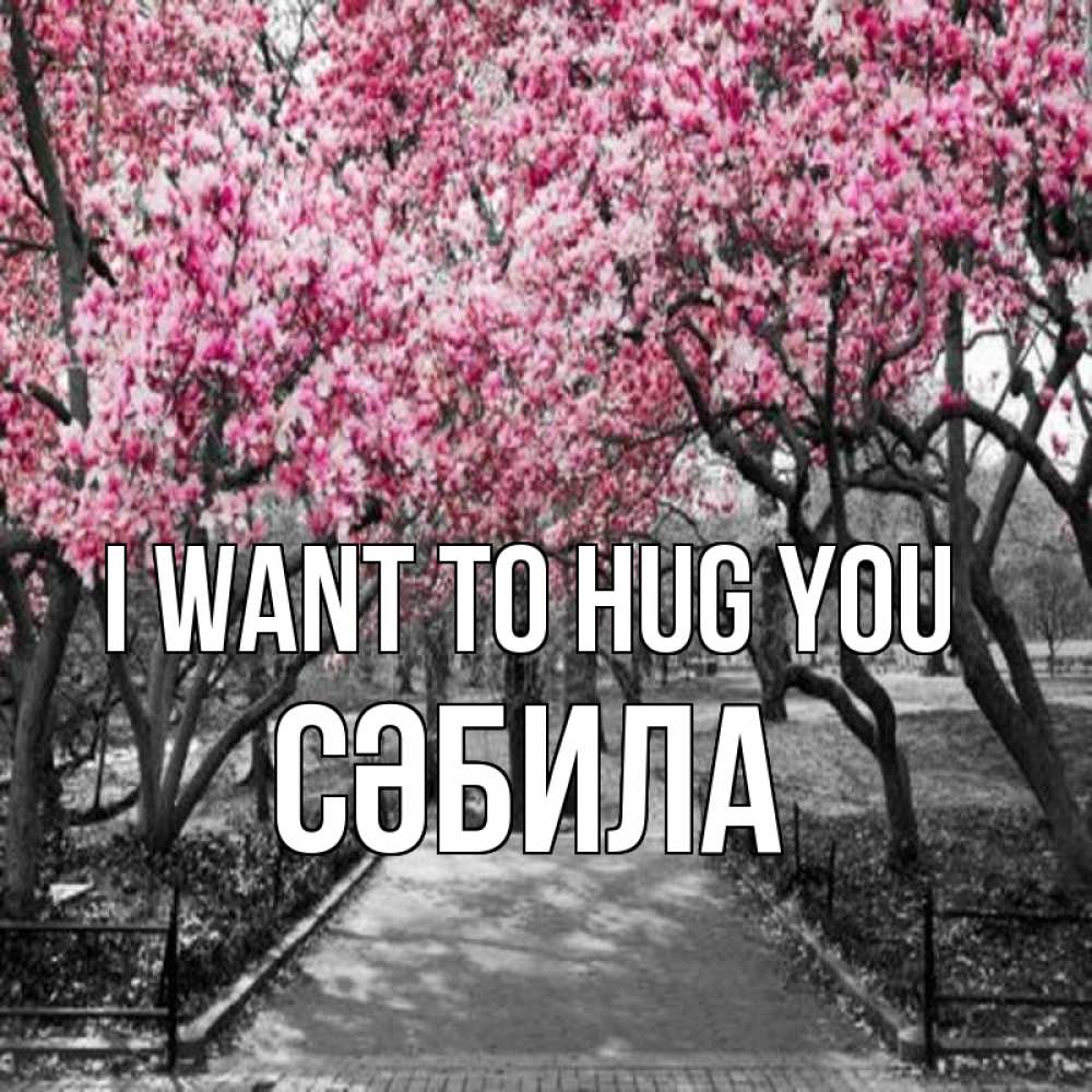 Greetings card с именем, СӘБИЛА I want to hug you обработанное фото Greetings with text for free download 