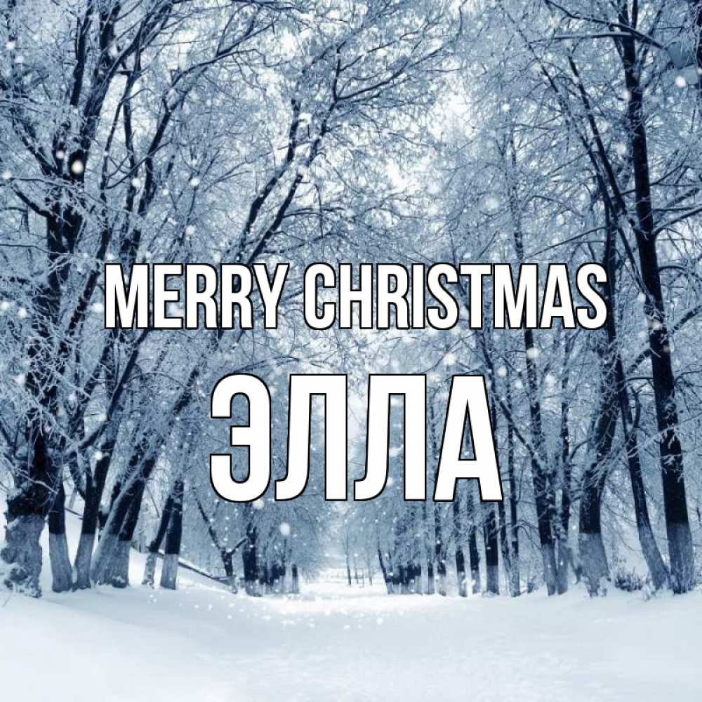 Greetings card с именем, Элла Merry Christmas снег, лес, парк Greetings with text for free download 