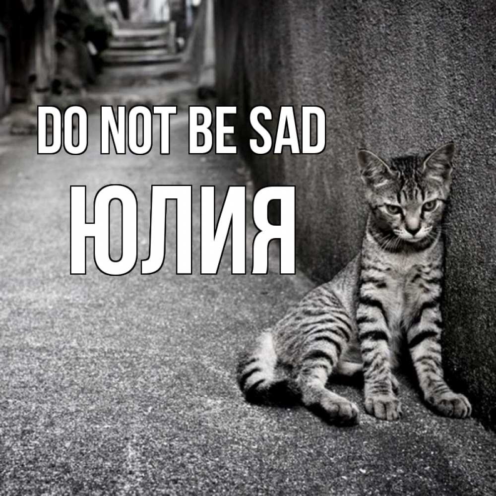 Greetings card с именем, Юлия Do not be sad скучающий котик Greetings with text for free download 