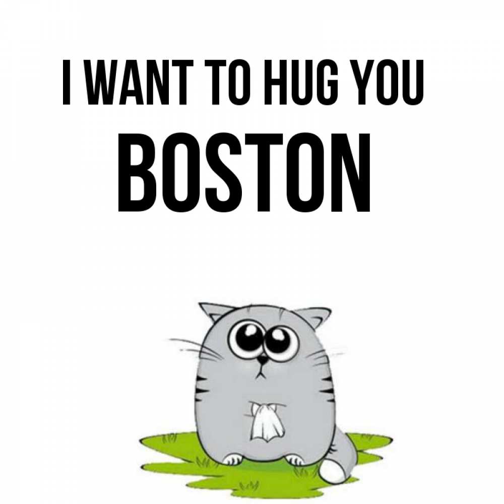 Greetings card с именем, Boston I want to hug you котик теребит платочек сидя на травке Greetings with text for free download 