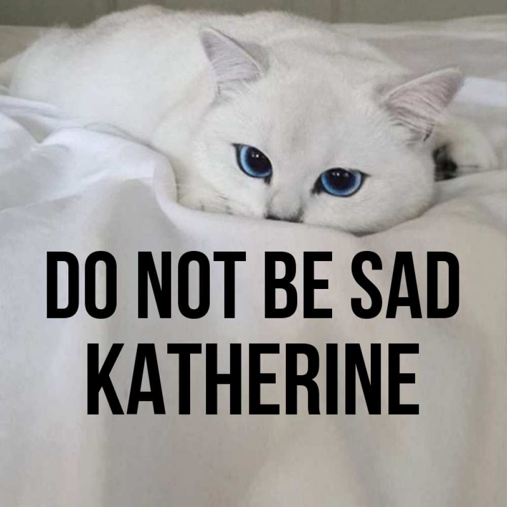 Greetings card с именем, Katherine Do not be sad Голубоглазая кошка Greetings with text for free download 