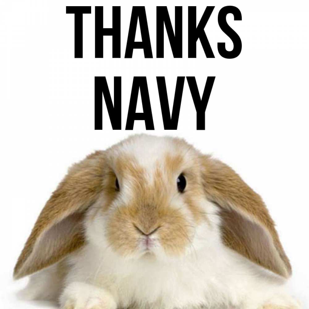 Greetings card с именем, Navy Thanks коричнево белый заяц Greetings with text for free download 