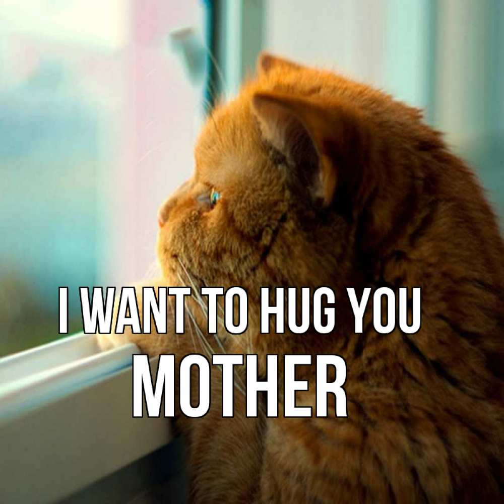 Greetings card с именем, mother I want to hug you большой огромный рыжий котяра Greetings with text for free download 