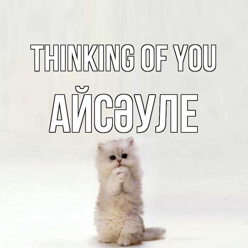 Greetings card с именем, АЙСӘУЛЕ Thinking of you кот стоит на задних лапах Greetings with text for free download 
