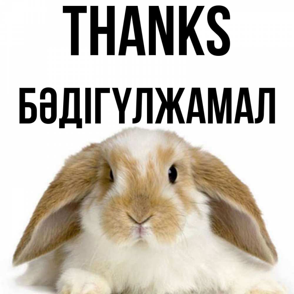 Greetings card с именем, БӘДІГҮЛЖАМАЛ Thanks коричнево белый заяц Greetings with text for free download 