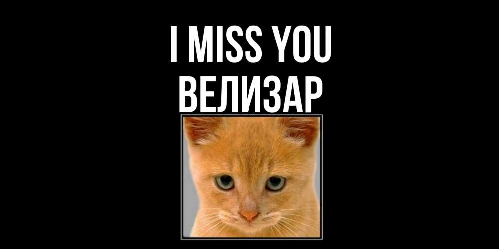 Greetings card с именем, Велизар I miss you открытки рыжий котенок скучает по тебе Greetings with text for free download 