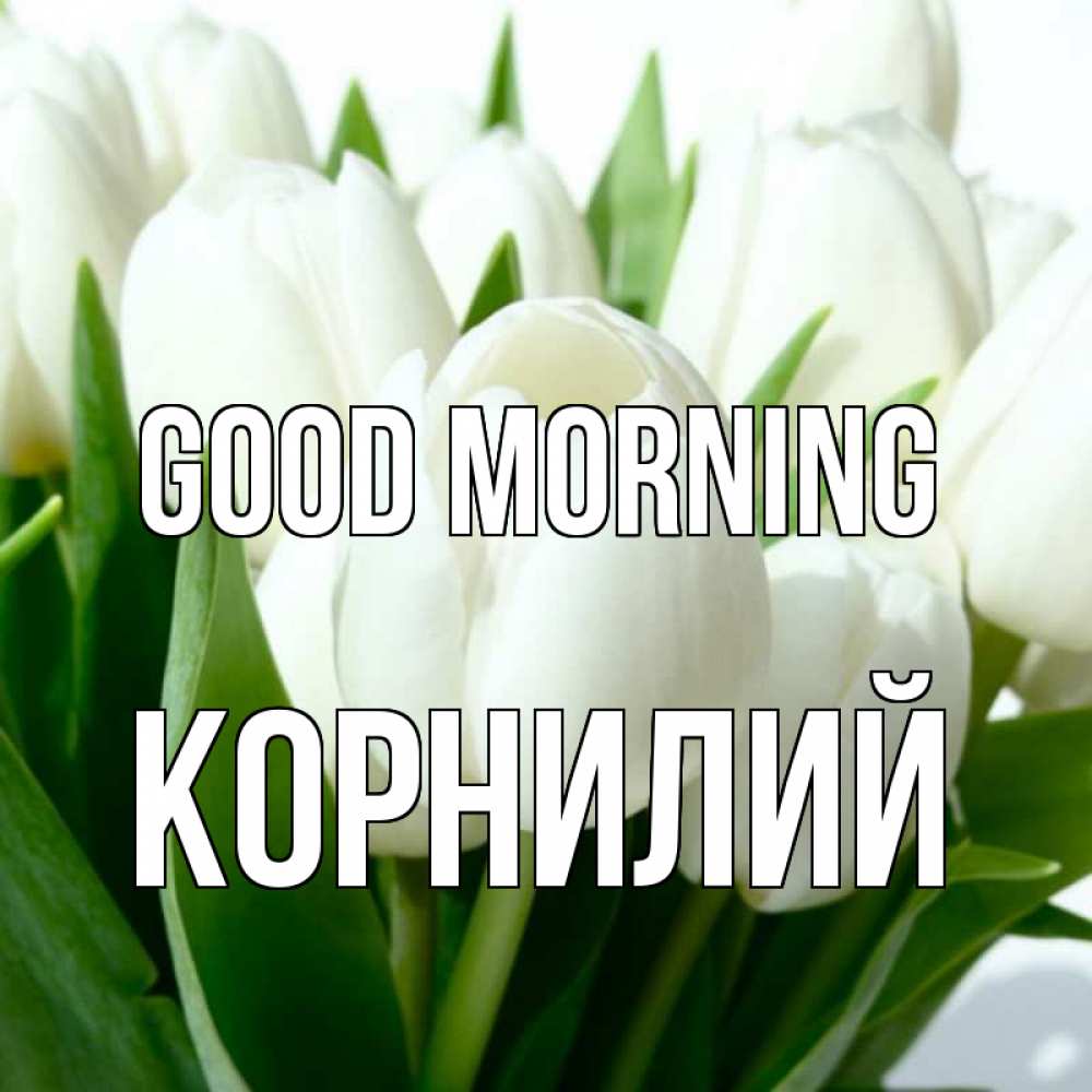 Greetings card с именем, Корнилий Good morning открытки на каждый день по именам Greetings with text for free download 