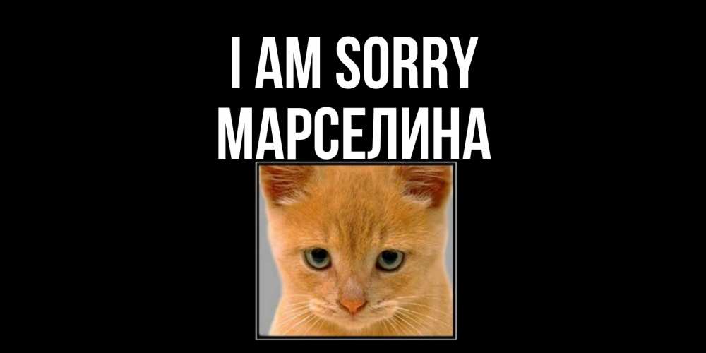 Greetings card с именем, Марселина I am sorry рыжий грустный кот просит прощения Greetings with text for free download 