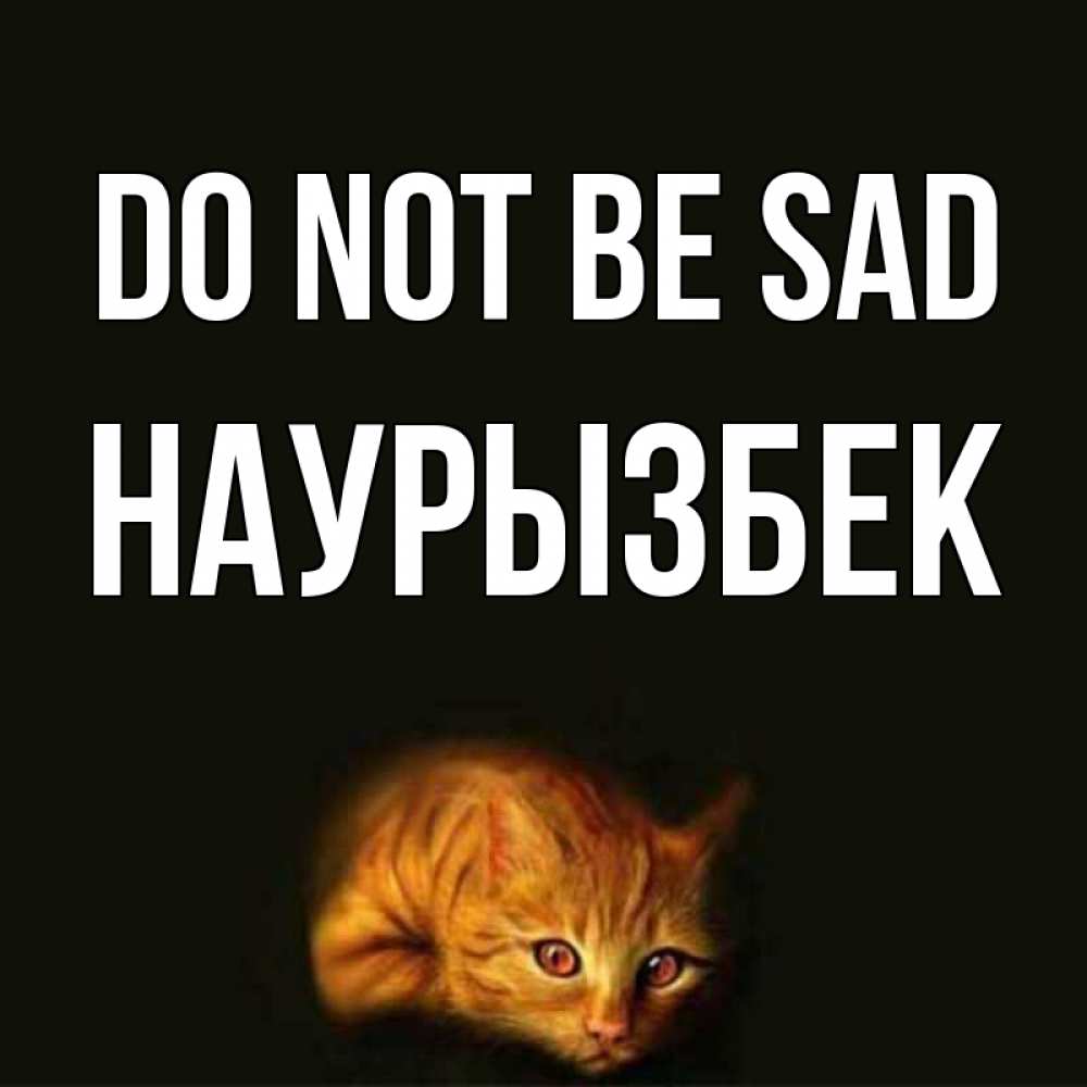 Greetings card с именем, Наурызбек Do not be sad лежащий кот в темноте Greetings with text for free download 
