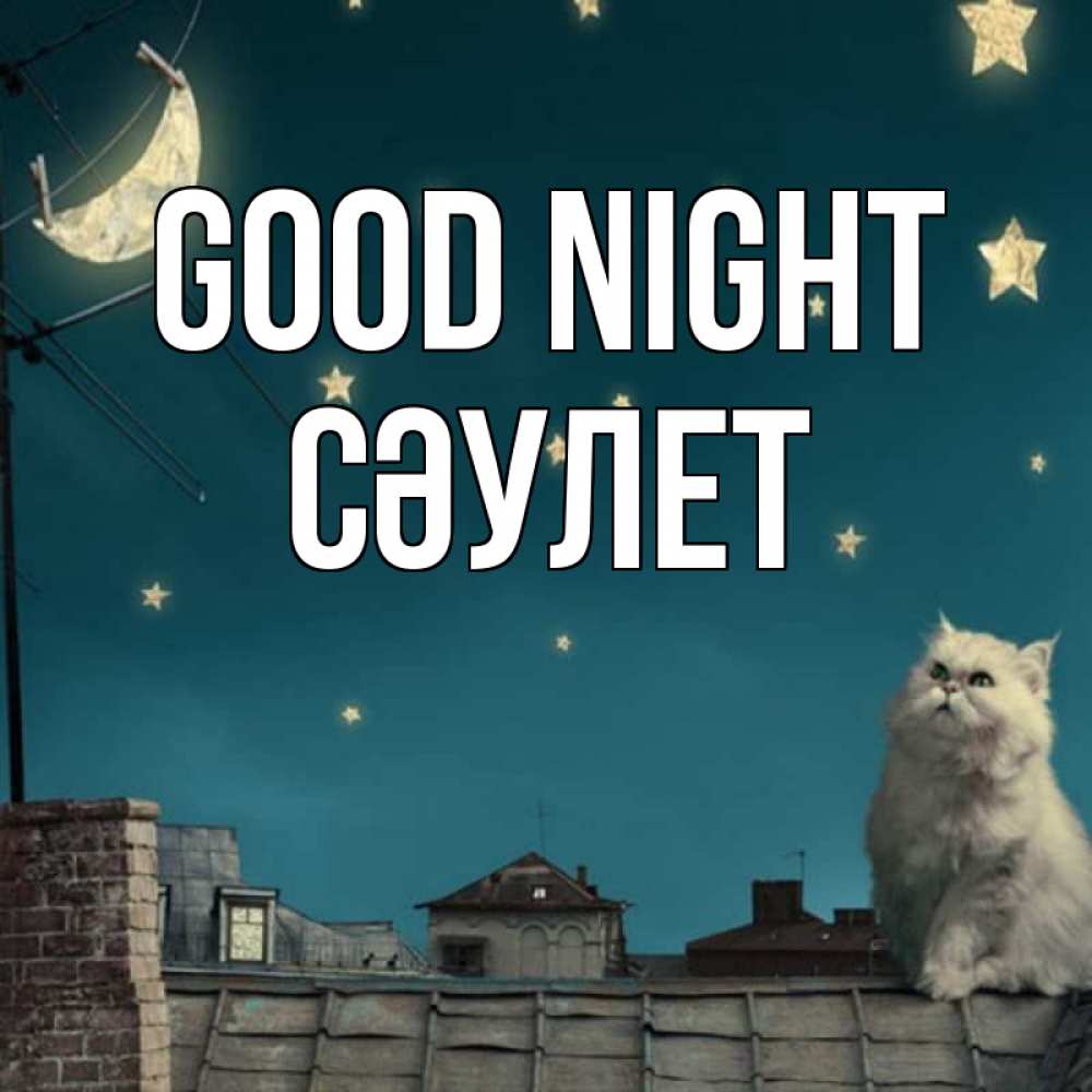 Greetings card с именем, СӘУЛЕТ Good night белый кот сидит на крыше Greetings with text for free download 