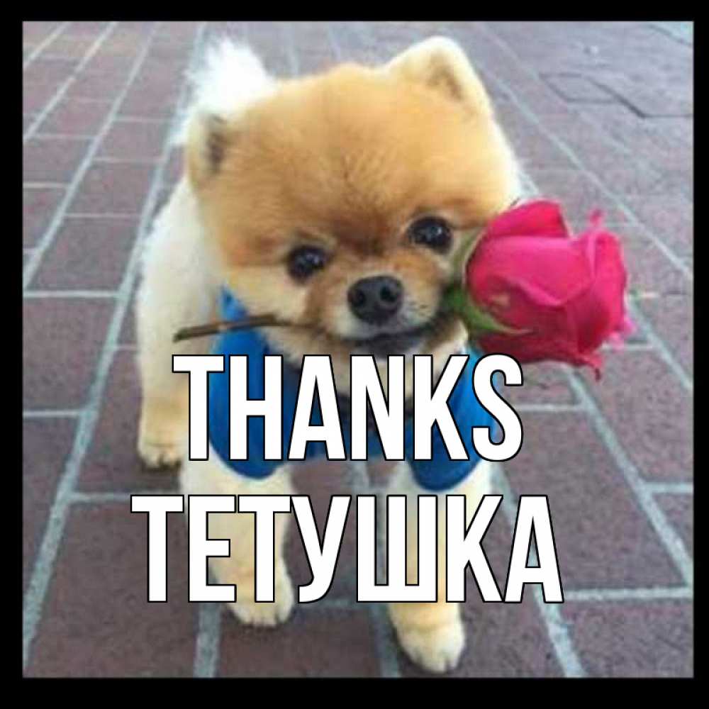 Greetings card с именем, Тетушка Thanks спасибо и дарю тебе цветок Greetings with text for free download 