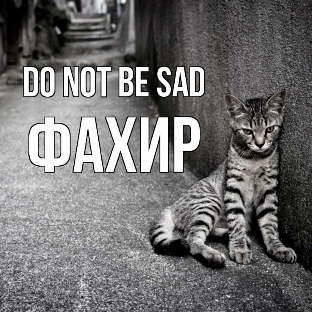 Greetings card с именем, ФАХИР Do not be sad скучающий котик Greetings with text for free download 