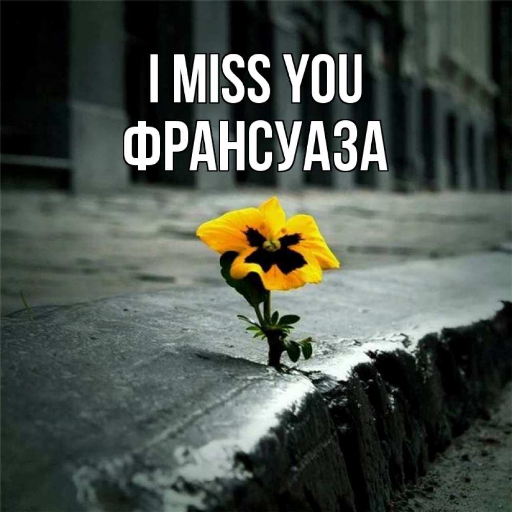 Greetings card с именем, Франсуаза I miss you надеюсь будет лучше Greetings with text for free download 