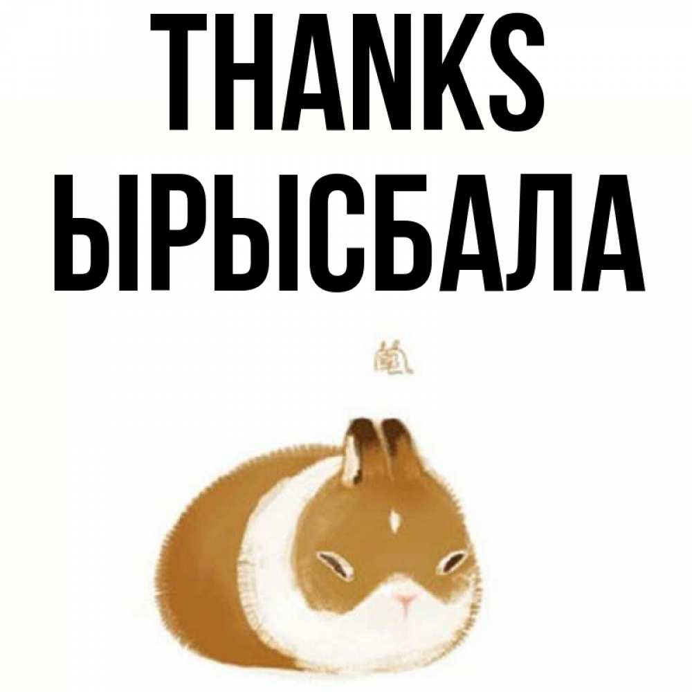 Greetings card с именем, ЫРЫСБАЛА Thanks коричнево белый домашний питомец Greetings with text for free download 