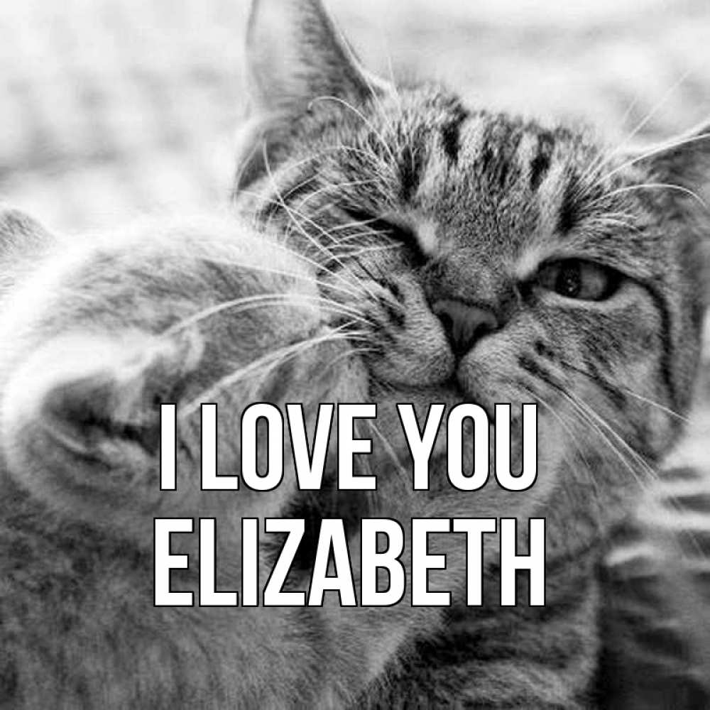 Greetings card с именем, Elizabeth I love you коты Greetings with text for free download 