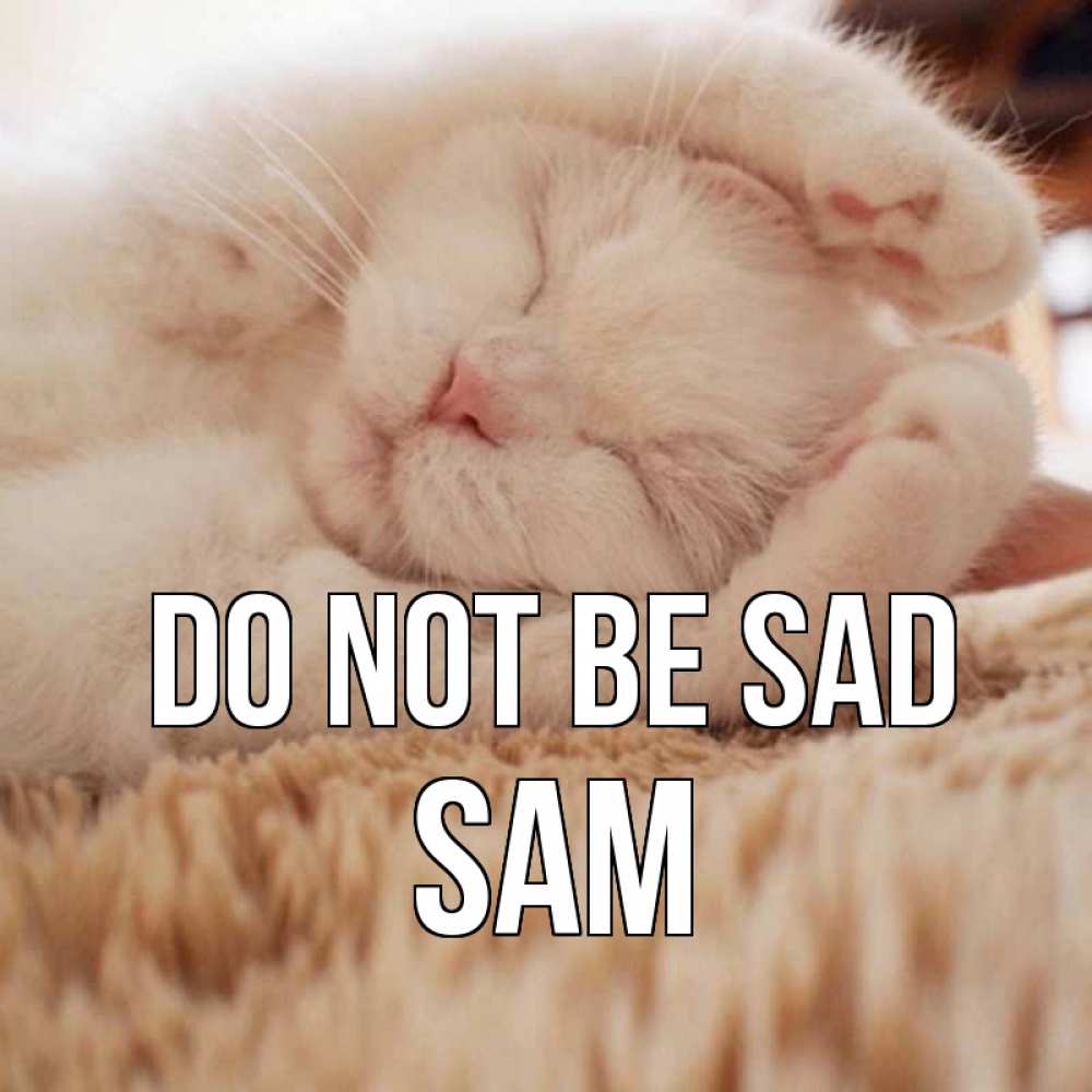Greetings card с именем, Sam Do not be sad белый кот Greetings with text for free download 