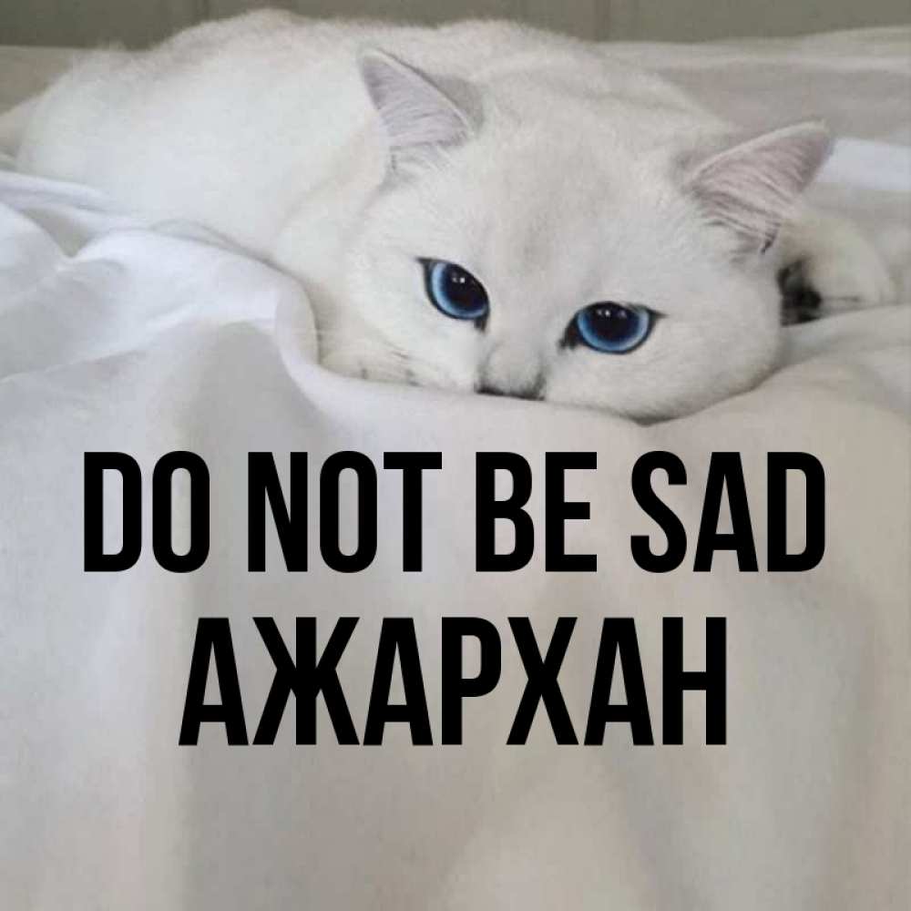 Greetings card с именем, АЖАРХАН Do not be sad Голубоглазая кошка Greetings with text for free download 