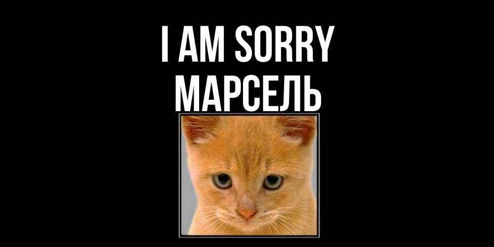 Greetings card с именем, Марсель I am sorry рыжий грустный кот просит прощения Greetings with text for free download 