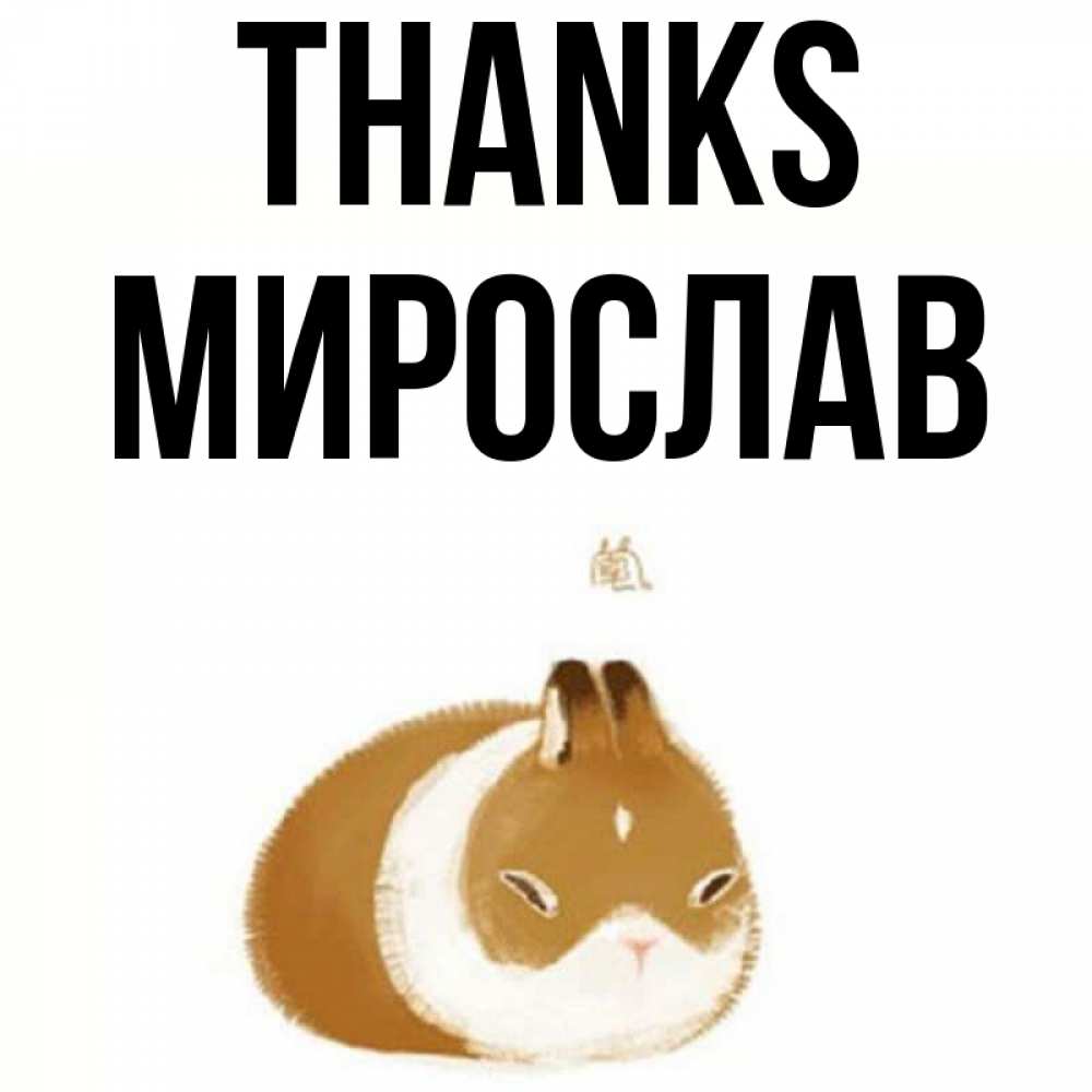 Greetings card с именем, Мирослав Thanks коричнево белый домашний питомец Greetings with text for free download 