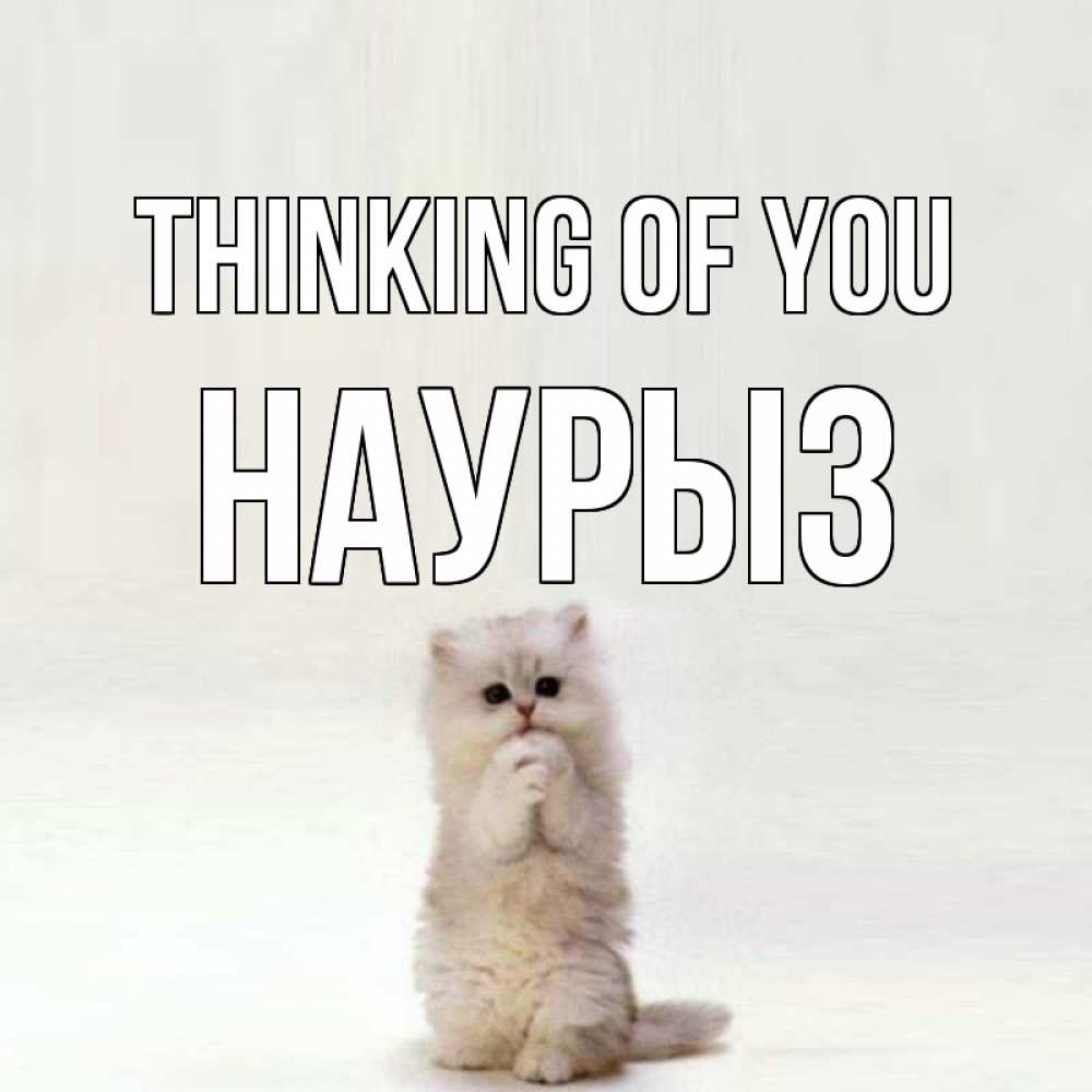 Greetings card с именем, НАУРЫЗ Thinking of you кот стоит на задних лапах Greetings with text for free download 