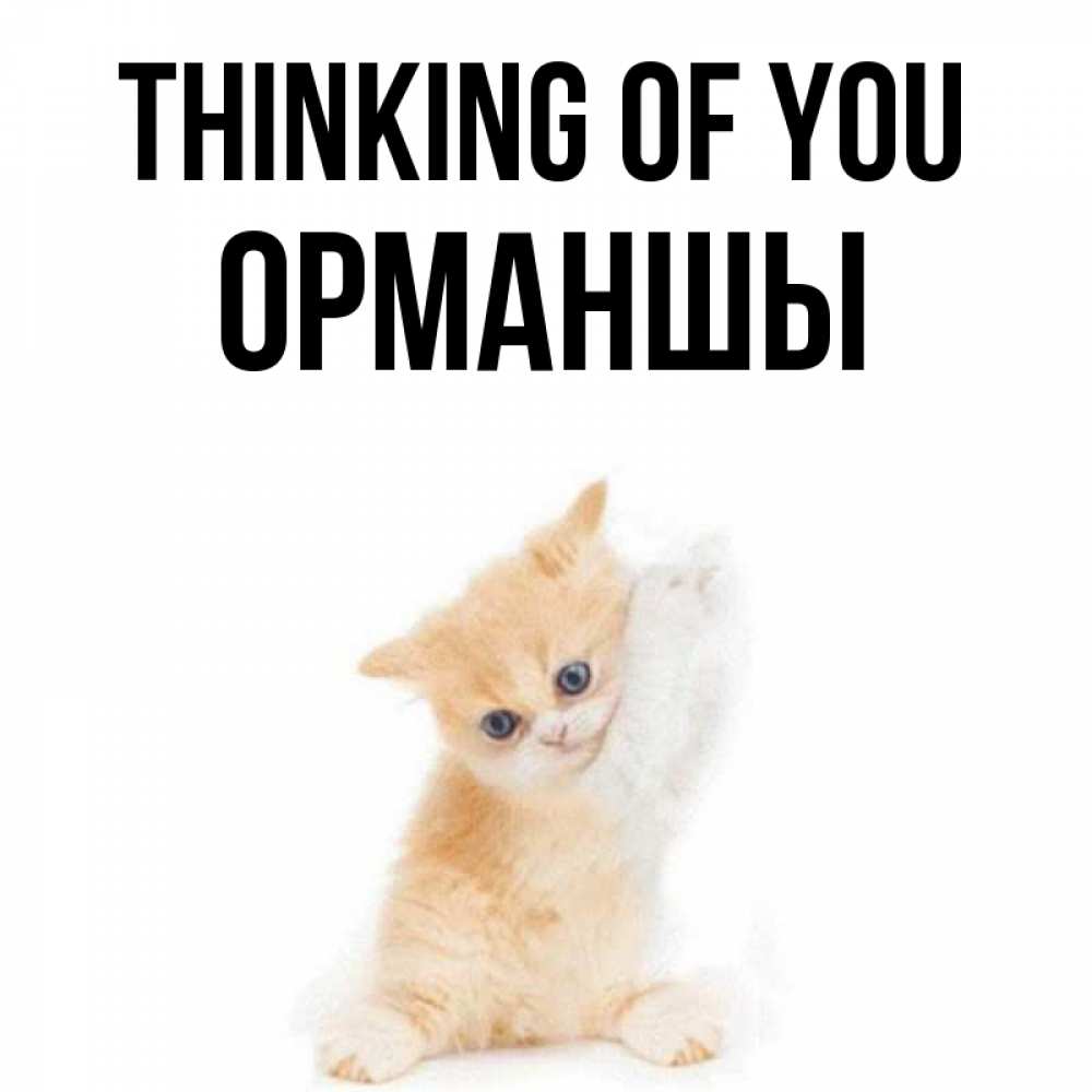 Greetings card с именем, ОРМАНШЫ Thinking of you зверушки и милота Greetings with text for free download 