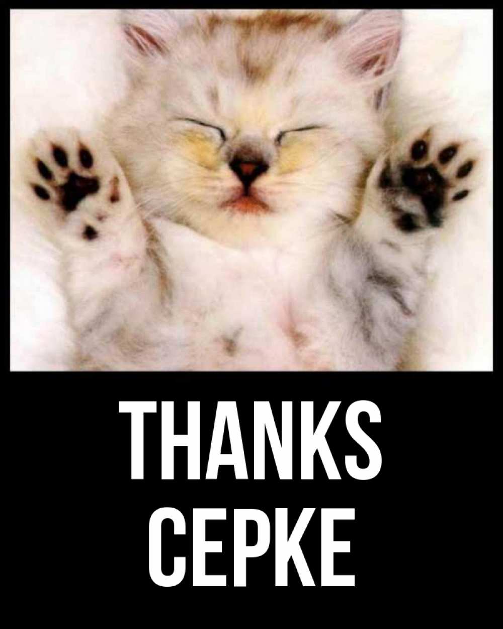 Greetings card с именем, СЕРКЕ Thanks маленький котенок Greetings with text for free download 