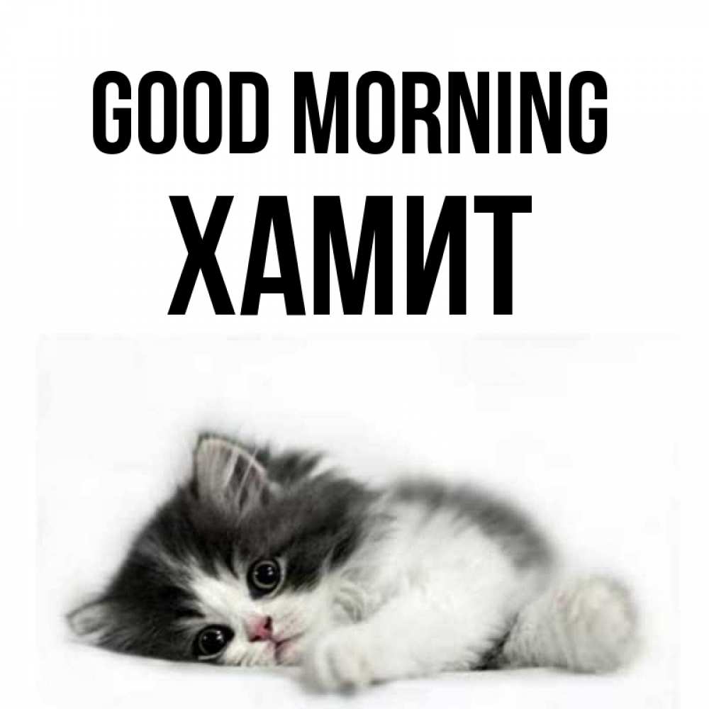 Greetings card с именем, ХАМИТ Good morning кот лапки Greetings with text for free download 