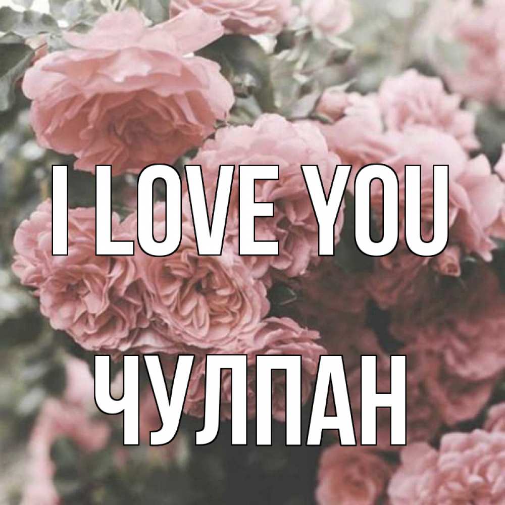Greetings card с именем, Чулпан I love you розы 3 Greetings with text for free download 