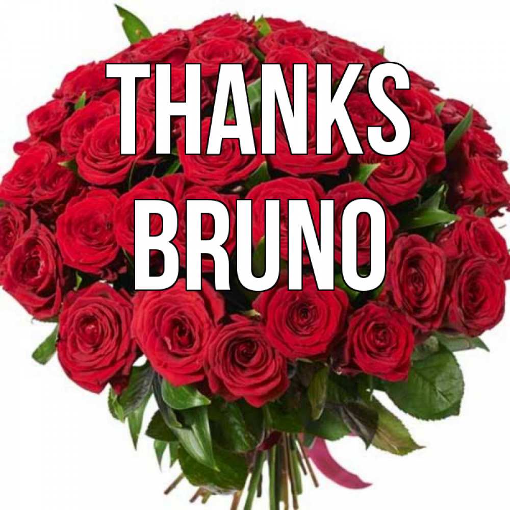 Greetings card с именем, Bruno Thanks букет красных роз Greetings with text for free download 