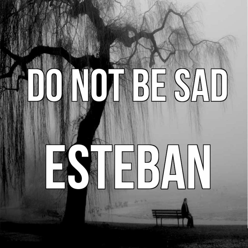 Greetings card с именем, Esteban Do not be sad висящие ветки дерева и лавочка под деревом Greetings with text for free download 