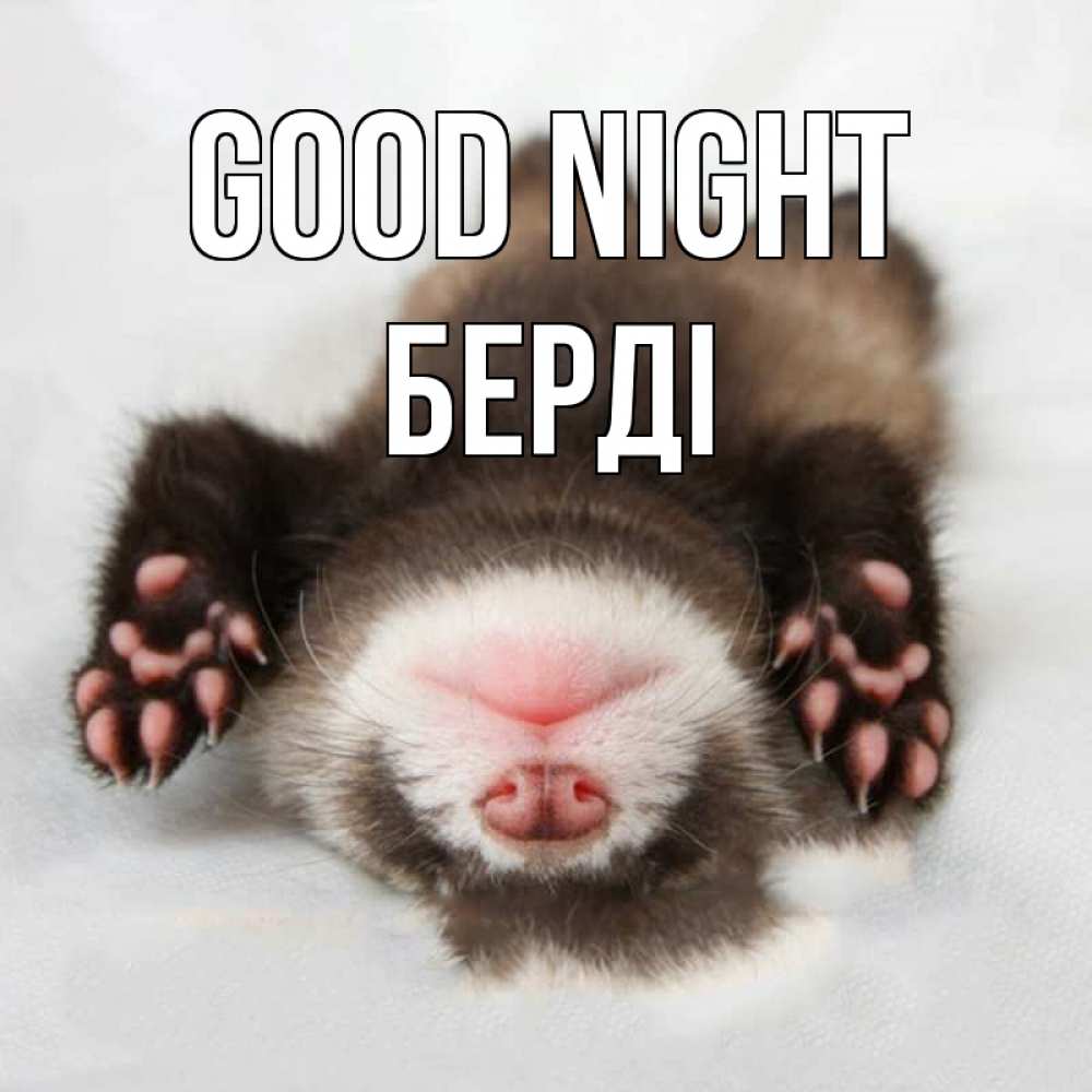 Greetings card с именем, Берді Good night зверек Greetings with text for free download 