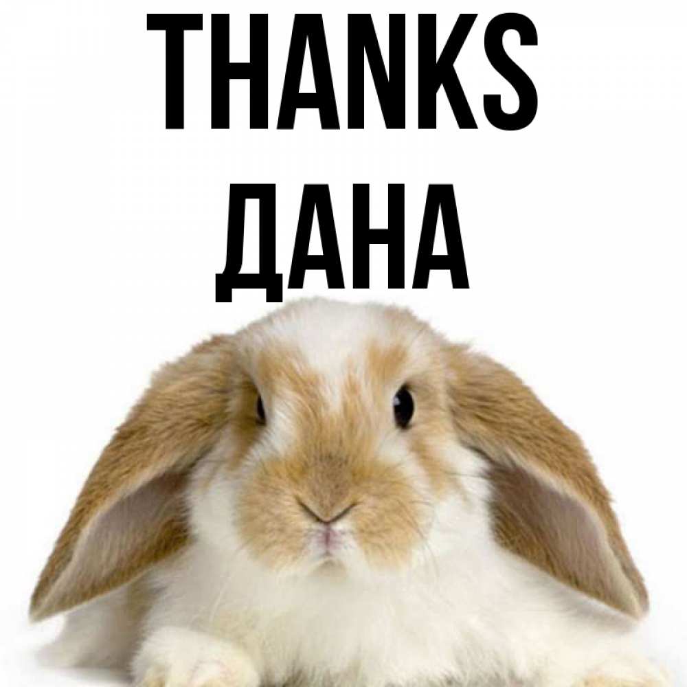 Greetings card с именем, ДАНА Thanks коричнево белый заяц Greetings with text for free download 