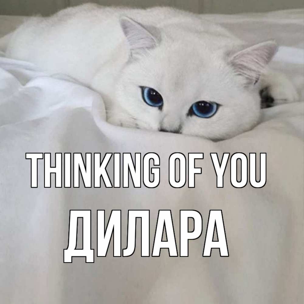 Greetings card с именем, Дилара Thinking of you я очень по тебе скучаю и тоскую Greetings with text for free download 