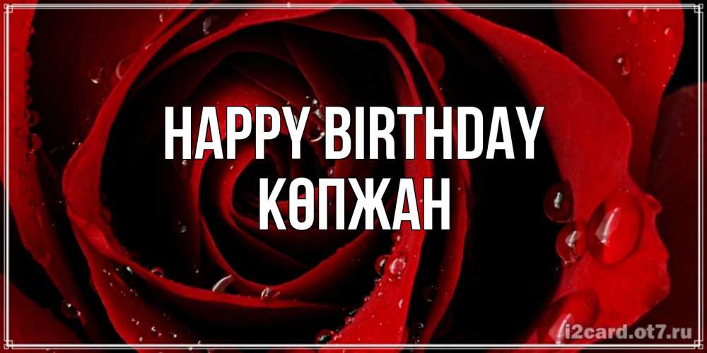 Greetings card с именем, Көпжан Happy Birthday крупная бордовая роза Greetings with text for free download 