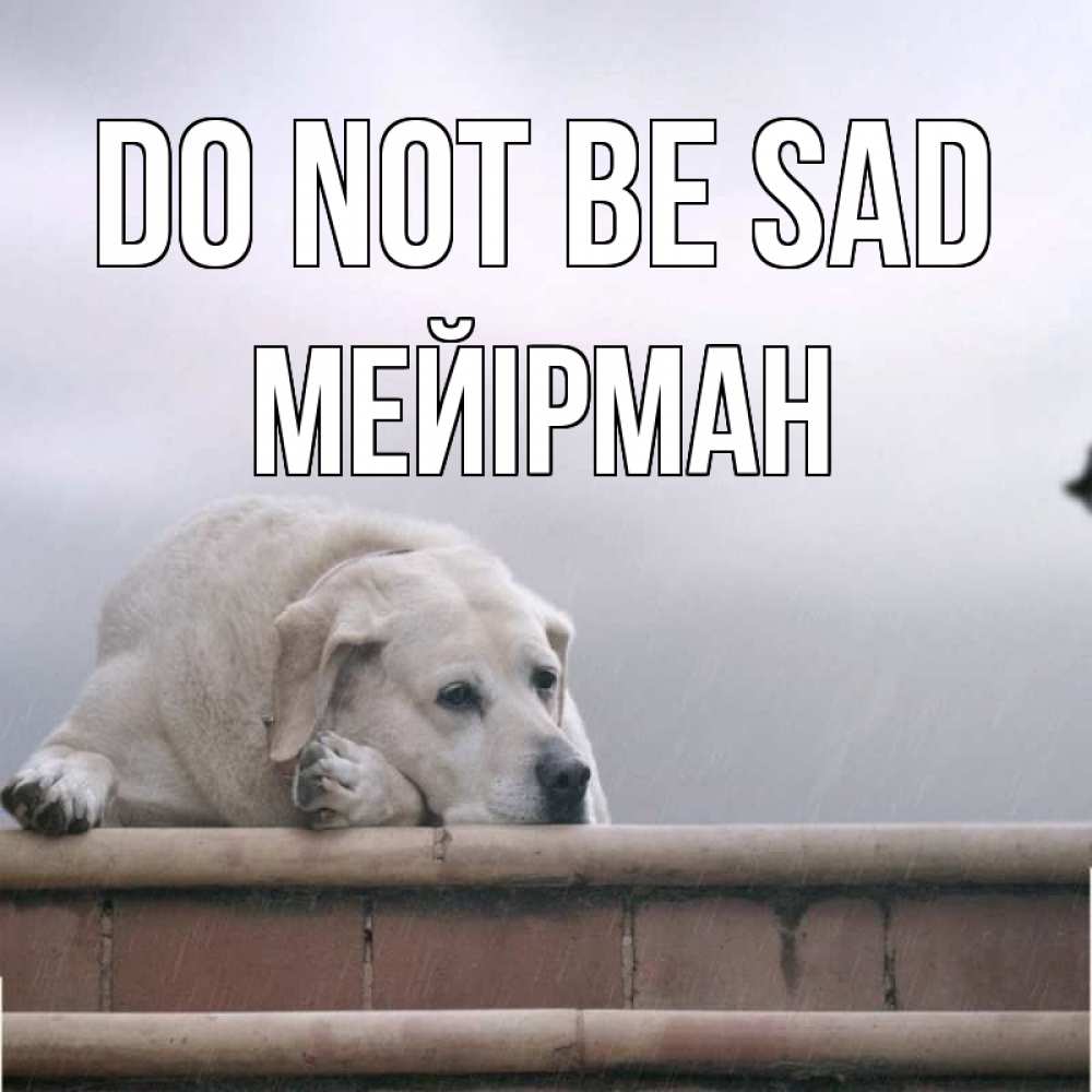 Greetings card с именем, МЕЙІРМАН Do not be sad белый пес 1 Greetings with text for free download 