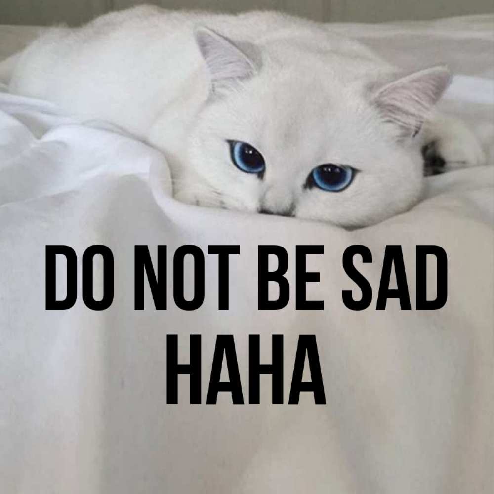 Greetings card с именем, Нана Do not be sad Голубоглазая кошка Greetings with text for free download 