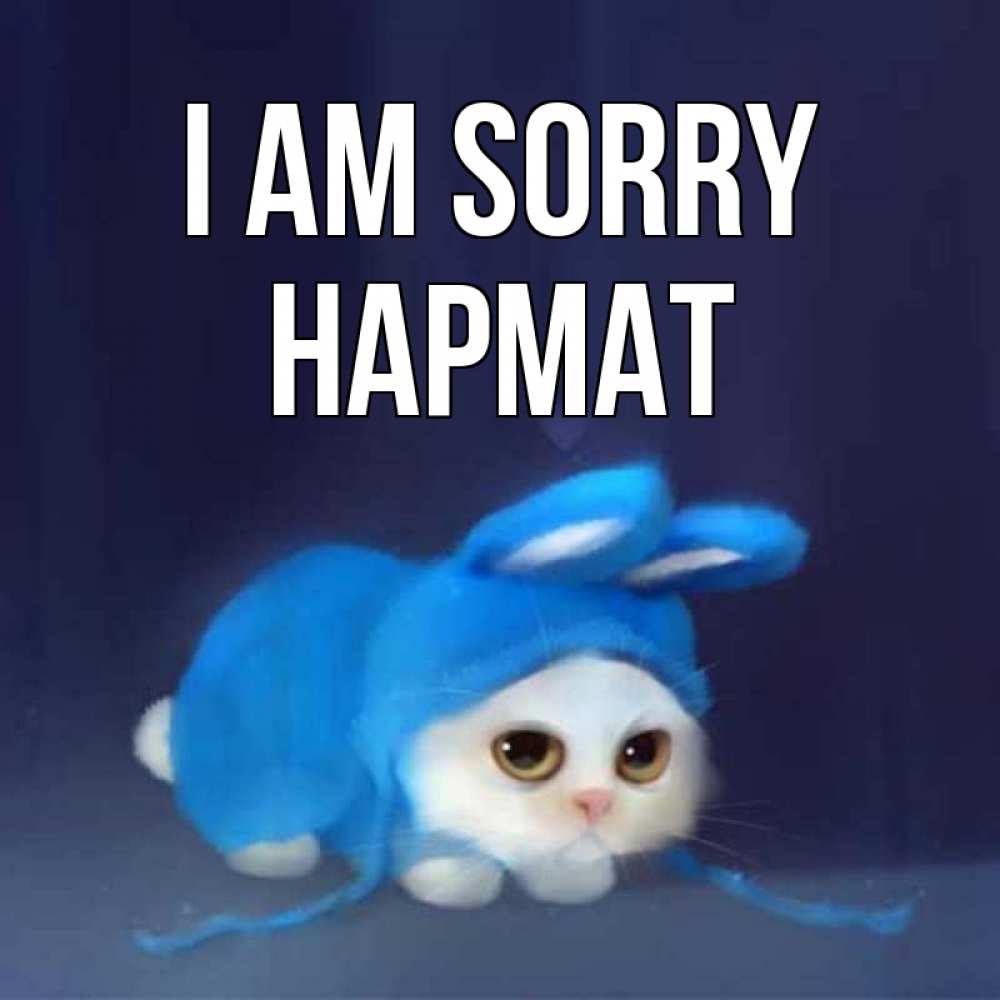 Greetings card с именем, Нармат I am sorry невинный котозай просит прощения Greetings with text for free download 