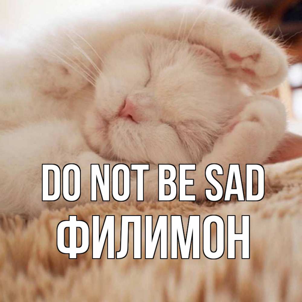 Greetings card с именем, Филимон Do not be sad белый кот Greetings with text for free download 