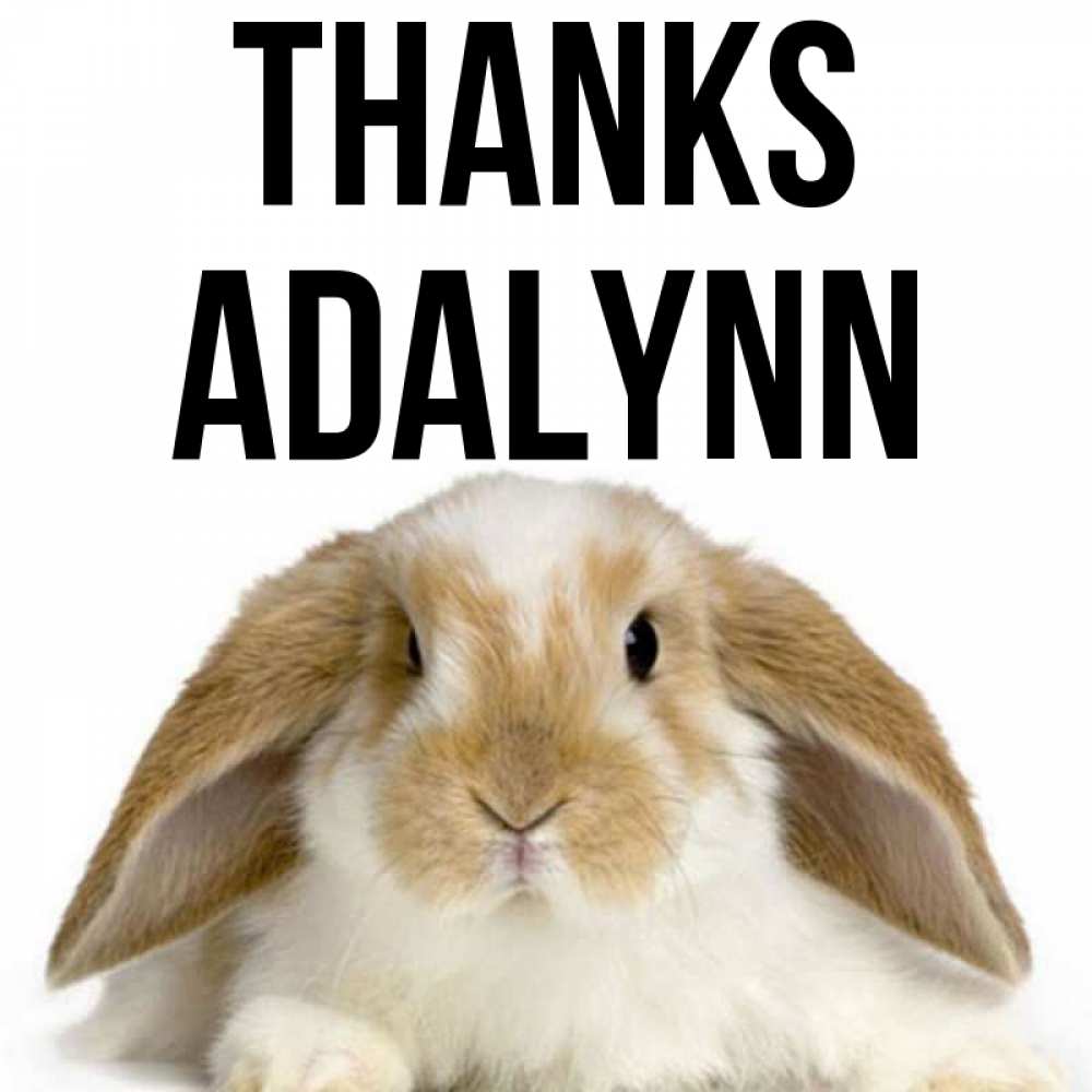 Greetings card с именем, Adalynn Thanks коричнево белый заяц Greetings with text for free download 