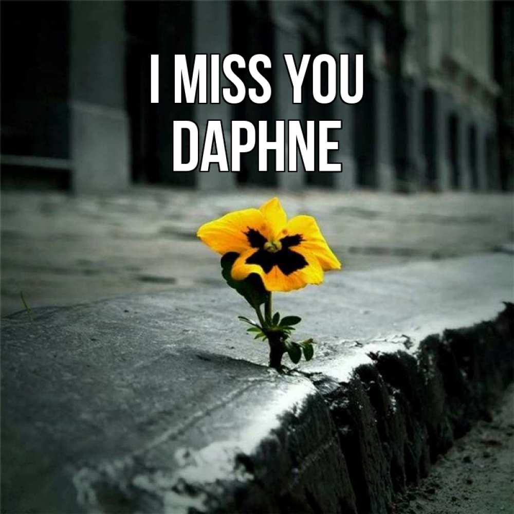 Greetings card с именем, Daphne I miss you надеюсь будет лучше Greetings with text for free download 
