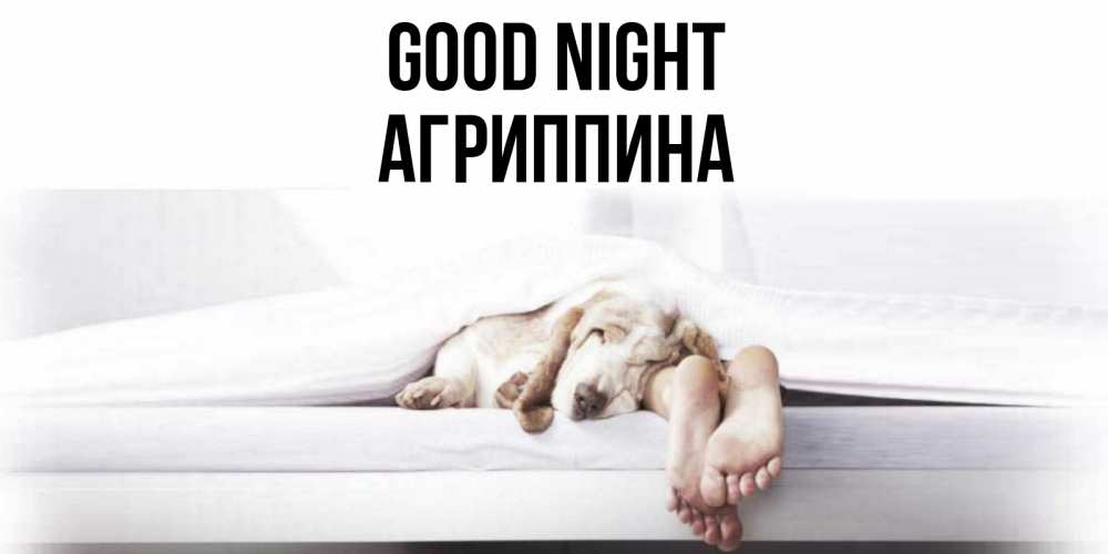 Greetings card с именем, Агриппина Good night кровать с собакой пожелание сладких снов и спокойной ночи Greetings with text for free download 