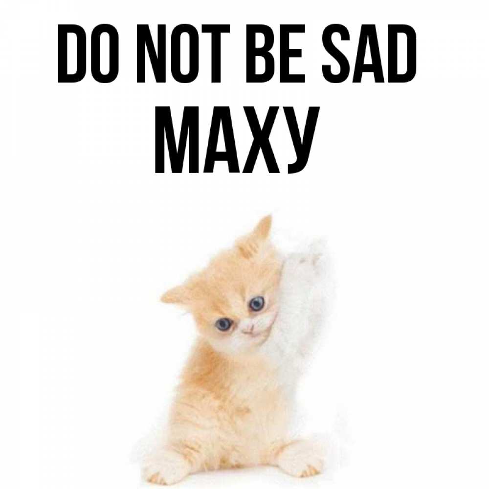 Greetings card с именем, МАХУ Do not be sad просящий кот Greetings with text for free download 