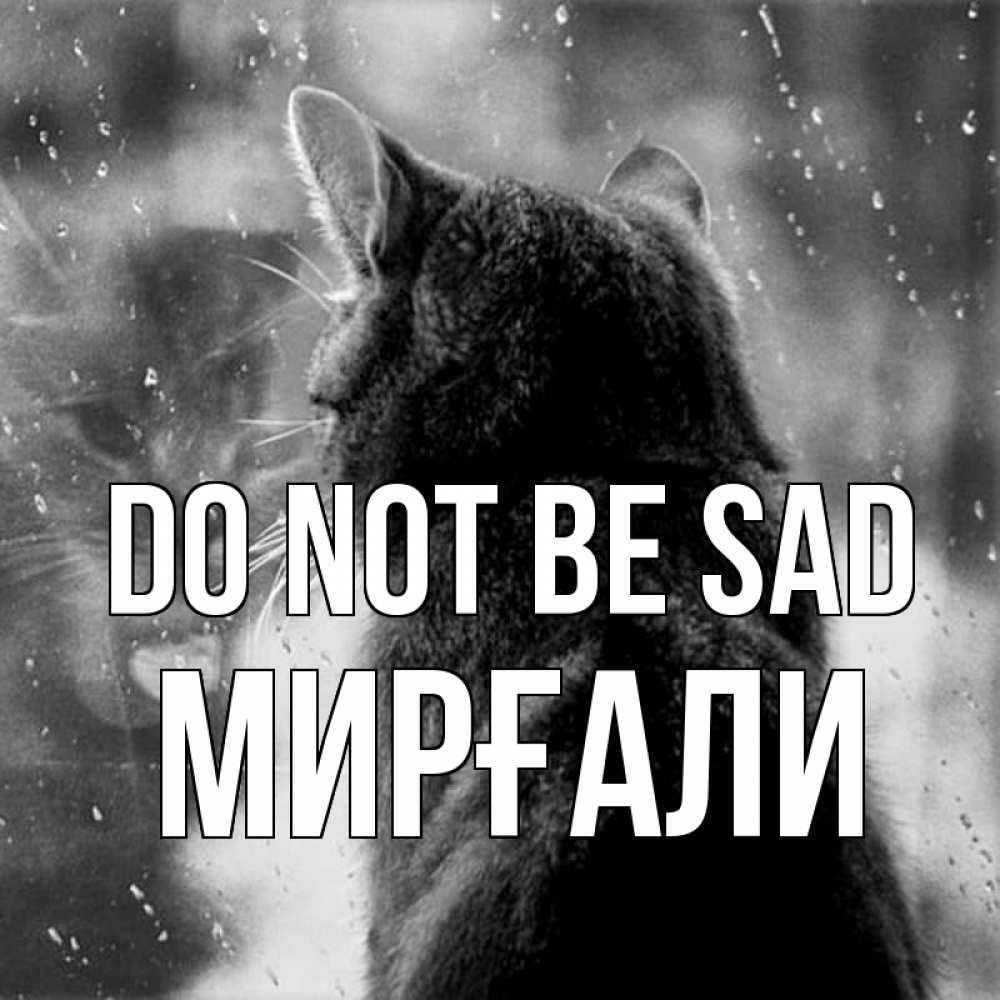 Greetings card с именем, МИРҒАЛИ Do not be sad отражение кота 1 Greetings with text for free download 