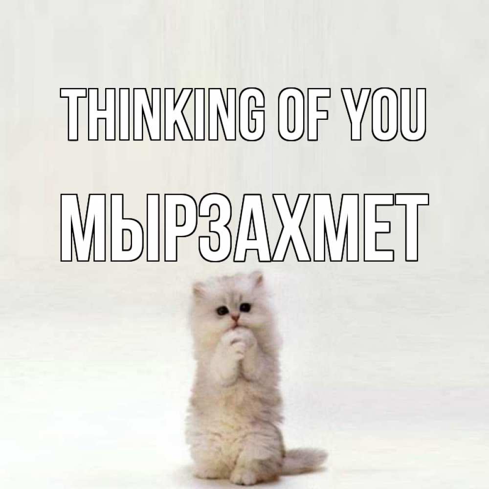Greetings card с именем, МЫРЗАХМЕТ Thinking of you кот стоит на задних лапах Greetings with text for free download 